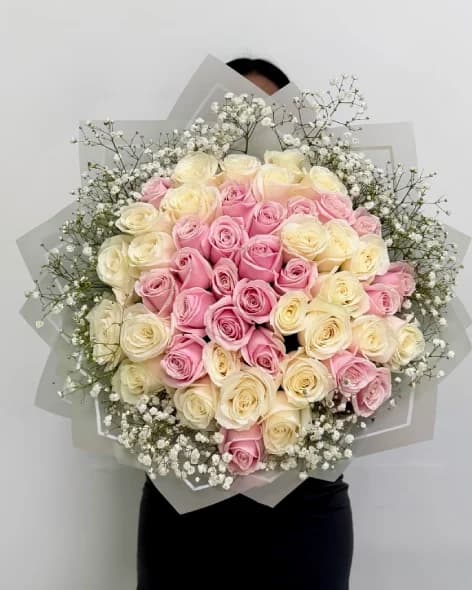 51 Fresh Holland Roses