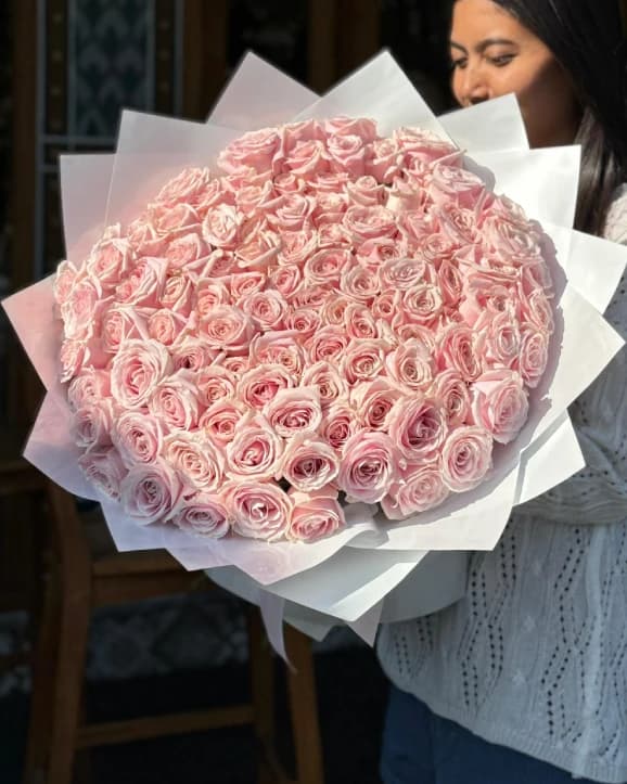 101 Pink Holland Roses